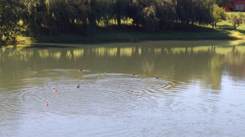 Terrenos En Chacras De La Reserva