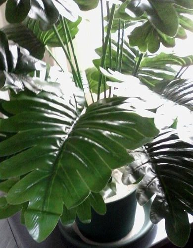 Imagen 2 de 10 de Aralia 18 Hojas 70 Cm - Plantas De Interior Artificiales