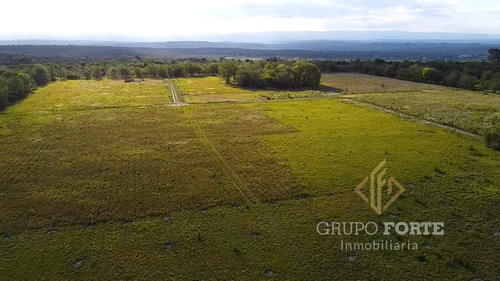 Imagen 5 de 29 de Lotes En Quillinzo