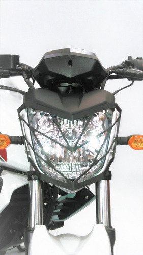 Protector Farola Yamaha Fz 16 (2008 - 2015)