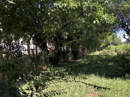 Terreno En Venta En Bosques