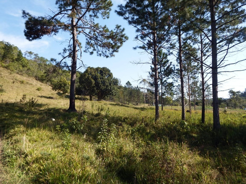 Imagem 5 de 16 de Sítio À Venda Com Pasto Lago Piscina 56.000 Ótima Localização