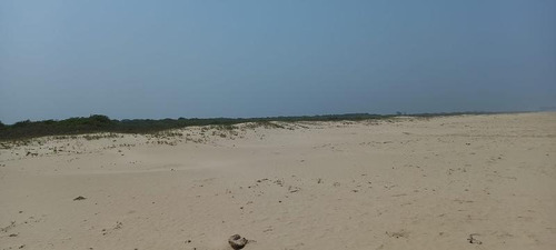 Venta Lotes Frente Al Mar La Puntilla Tamiahua Veracruz