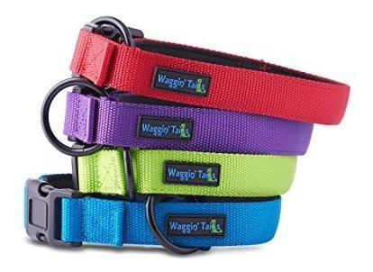 Collar De Perros Classic Comfortde Nylon Jcpvb