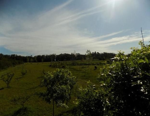 Quinta En Venta En Punta Piedras