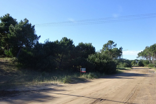 Imagen 1 de 4 de Venta De Lote - Pinamar, Zona Nayades / Ref: 1501