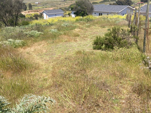 Uf 2280 Terreno Mixto De 1.600m2 Con Luz Y Rol Propio