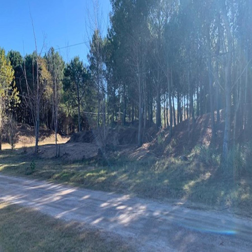 Imagen 9 de 9 de V099 - Lote De 1.000 Mts. San Bernardo Sale!