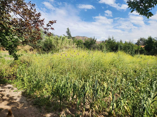 Hacienda De 5.000 M² En Lo Cañas Con Riego (173166)