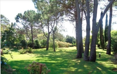 Imagen 9 de 27 de Casa Quinta - Tapialito