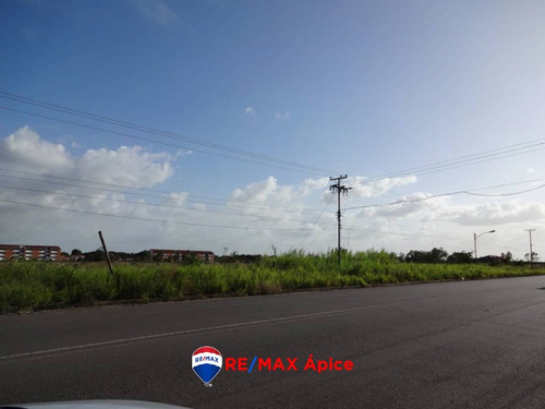 Imagen 4 de 4 de Se Vende Parcela De Terreno En Tipuro