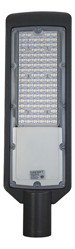 Lampara Alumbrado Publico Suburbana 100w Con Fotocelda Color De La Carcasa Gris Color De La Luz Blanco Frío 110v/220v