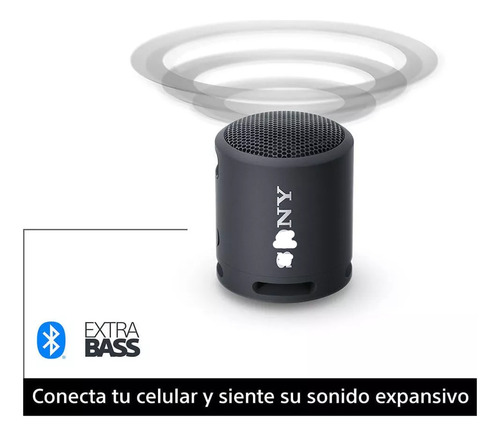 Bocina Extra Bass Srs-xb13 Portátil Con Bluetooth Negro
