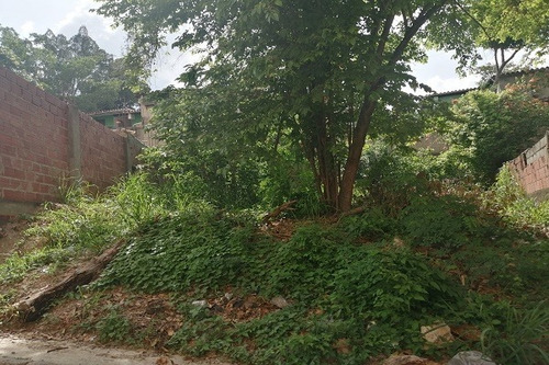 Imagen 1 de 1 de Terreno El Calvario Guarenas 04241844985