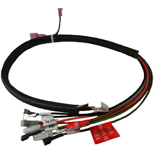 Arnés De Cableado Dexen 593590a