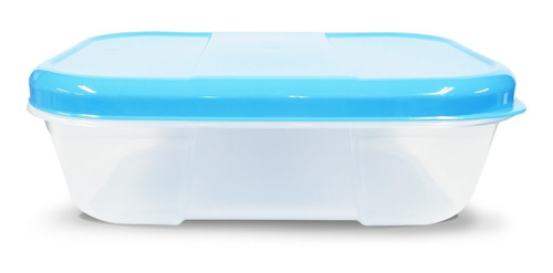 Hermetico Contenedor Plástico Apto Freezer Microondas 4,5 L 