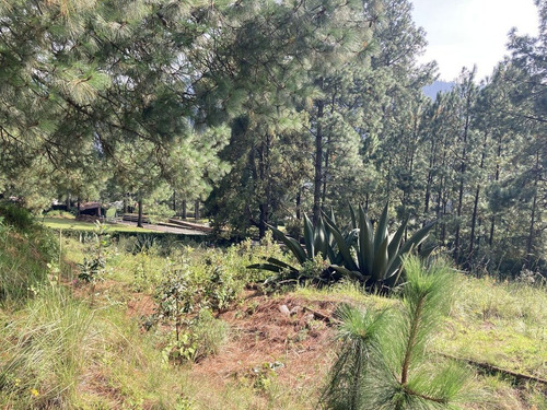 Lerma, Edo. Mex. Terreno En Venta En La Cañada De Alféres