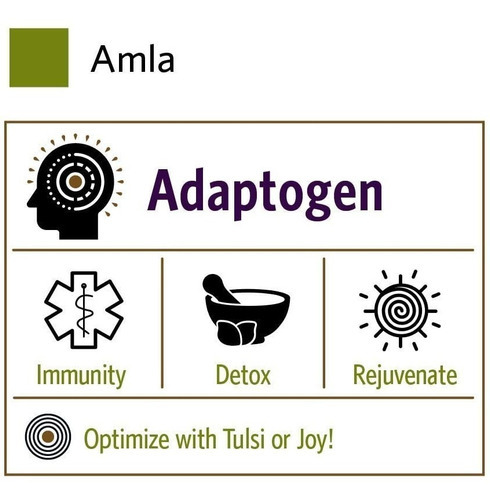 Amalaki, vitamina C, antioxidante natural, orgânico, Índia, caba, sabor insípido