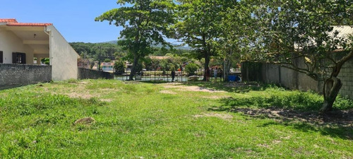 Imagem 4 de 13 de Terreno No Canal Da Barra - Te0075