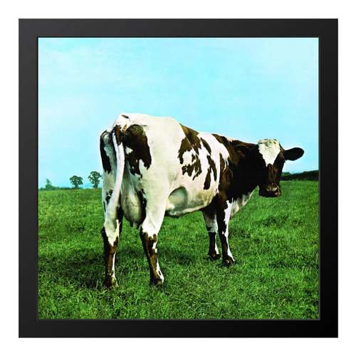 Capa De Vinil Eternizada Pink Floyd Atomic Heart Mother