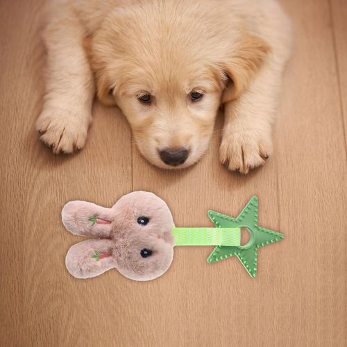 Perro Squeaky Toys Perros Medianos Conejos Marrones Claros