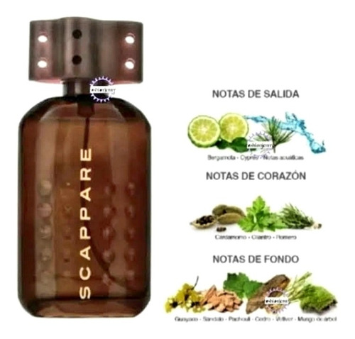 Perfume Original Fuller Scappare Classic Maderoso Aromatico