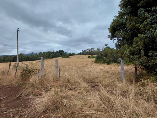 Espectacular Campo De 200 Hectareas En Loncoche