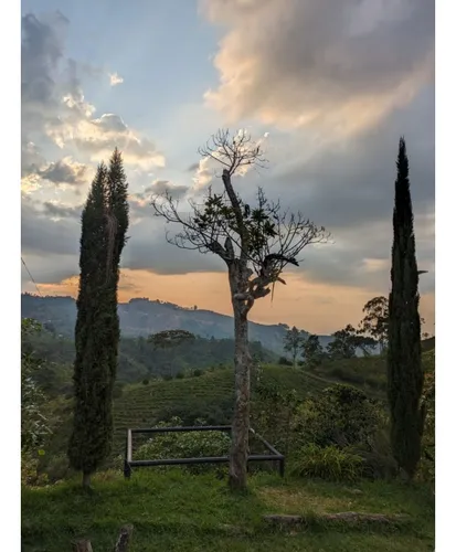 Se Vende Finca Pijao Quindío