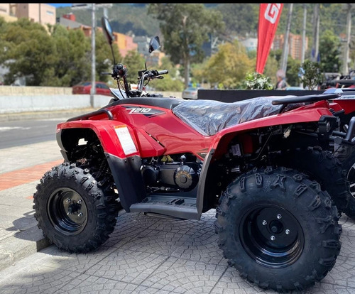 Cuatrimoto Plr Spider 210 Cc