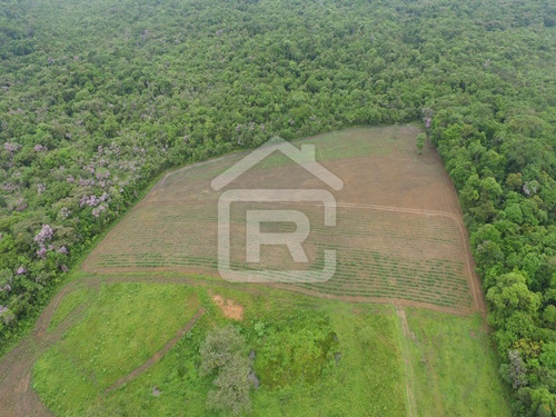 Imagem 9 de 21 de Fazenda - 229 - 70651803