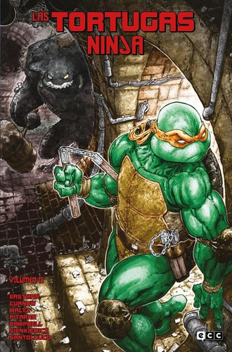 Libro Las Tortugas Ninja 15 - Allor, Paul