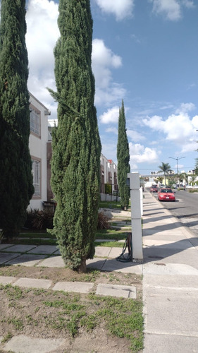 Serv. De Mantto. A Condominio, Jardiin, Terapias Energeticas
