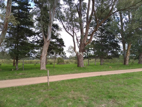 Terreno En Polo Club Country De Ruta 10 Kilómetro 172