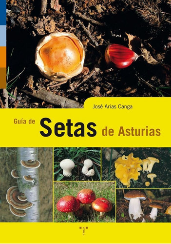 GuÃÂa de setas de Asturias, de Arias Canga, José. Editorial Ediciones Trea, S.L., tapa blanda en español
