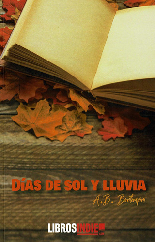 Libro: Dias De Sol Y Lluvia. Ana Belen Martinez. Ibd Quares