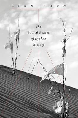 Libro The Sacred Routes Of Uyghur History - Rian Thum