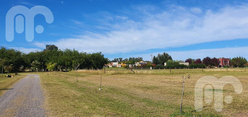Imagen 4 de 8 de Terreno El Mirador