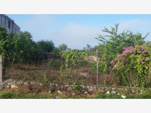 Imagen 3 de 3 de Terreno En Venta Cerro San Carlos