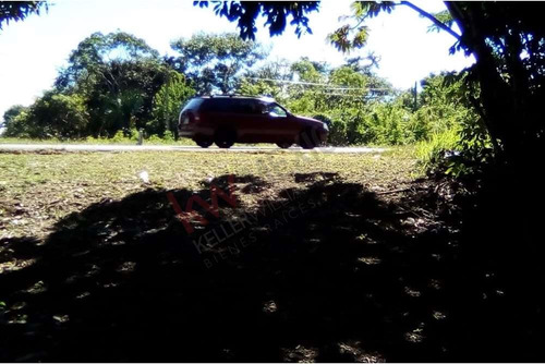 Lote En Venta En Bacalar - Uso De Suelo Mixto - Frente A Carretera Federal 307 - En Esquina - A ...
