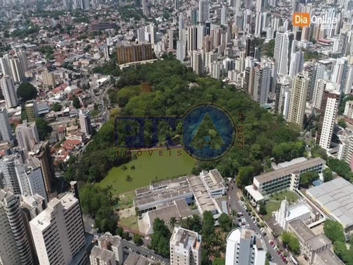 Imagem 9 de 10 de Área No Setor Bueno, Goiânia - Te00065 - 34894080