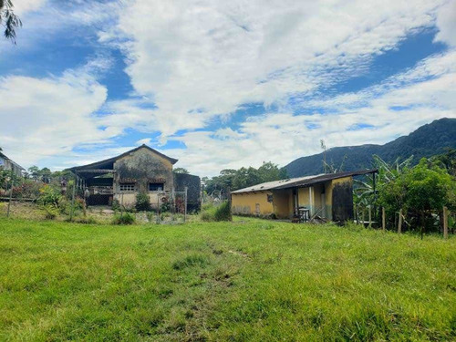Finca Cafetera En Tachira