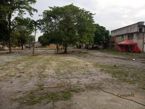 Imagem 3 de 10 de Terreno, 6000 M² - Venda Por R$ 4.000.000 Ou Aluguel Por R$ 25.000/mês - Taquara. - Te0024