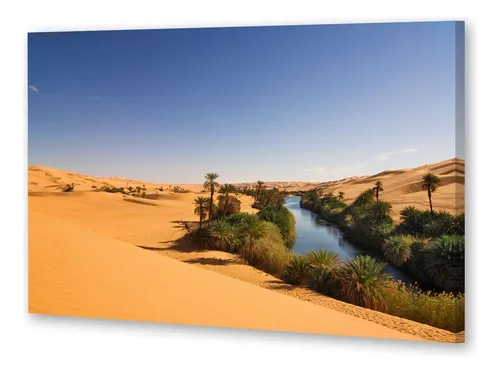 Cuadro 20x30cm Desierto Sahara Oasis En La Arena Agua