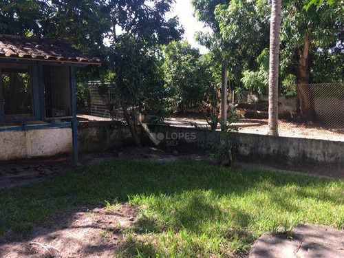Imagem 11 de 18 de Quer Comer Fruta No Pé? Ganhar Dinheiro Com Cultivo Ou Criação De Animais? Ou Só Descansar! Achou O Local Certo!!! - Si0010
