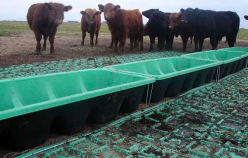 Pisos Plásticos Para Ganado