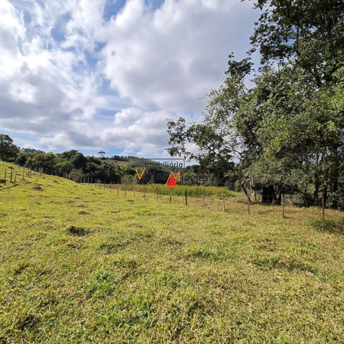 Imagem 14 de 15 de Terreno Para Venda Em Itatiaiuçu, Área Rural, 3 Dormitórios, 1 Banheiro - 70624_2-1643311