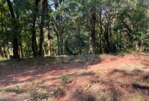Terreno Residencial En Venta En Pueblo Huitzilac