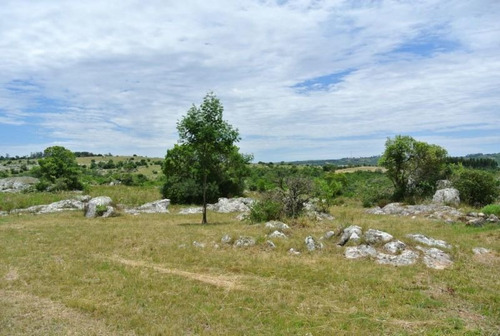 Quinta | Ruta 12 Y 5kms De Camino Vecinal