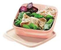 Comprar Tupper® Porta Vianda 550ml Con 3 Division Tupperware® 0% Bpa