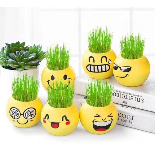 Divertidos Materos Plastico Para Cactus Suculentas Emojis X4